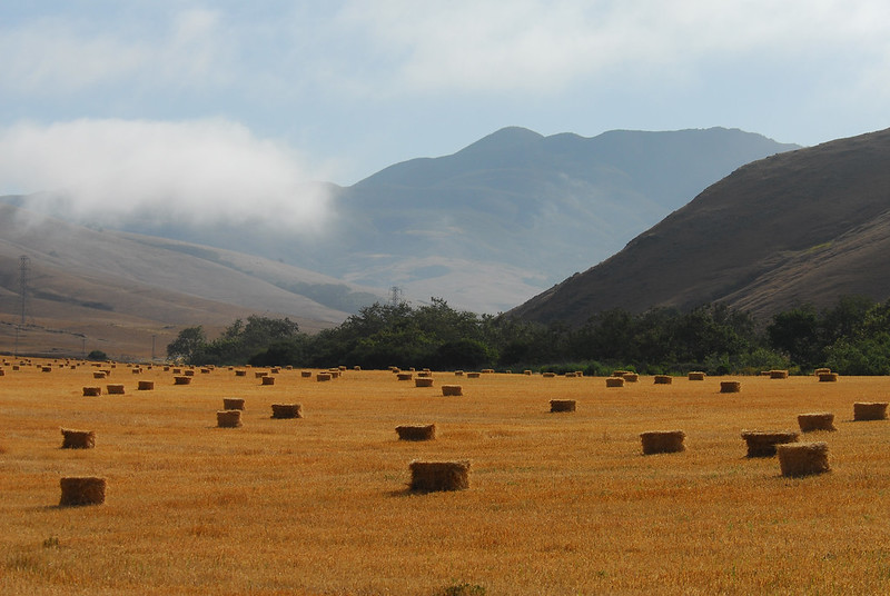 Field with bales of hay and hills in the background.
