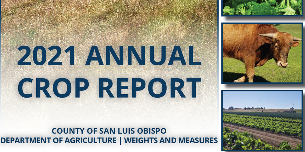 Crop Report Cover Clip Click to view article, 2021 Annual Crop Statistics Released