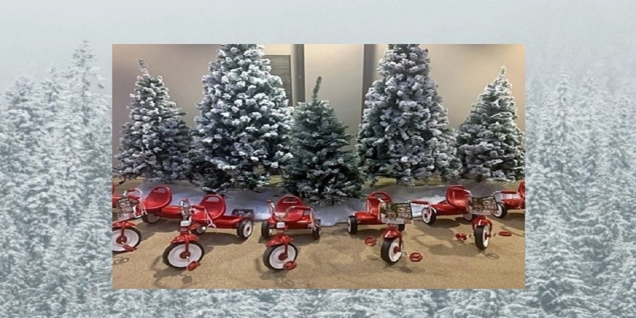Christmas trees with tricycles in front of the trees
