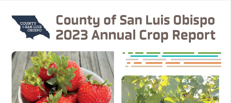 Crop Report Cover Title