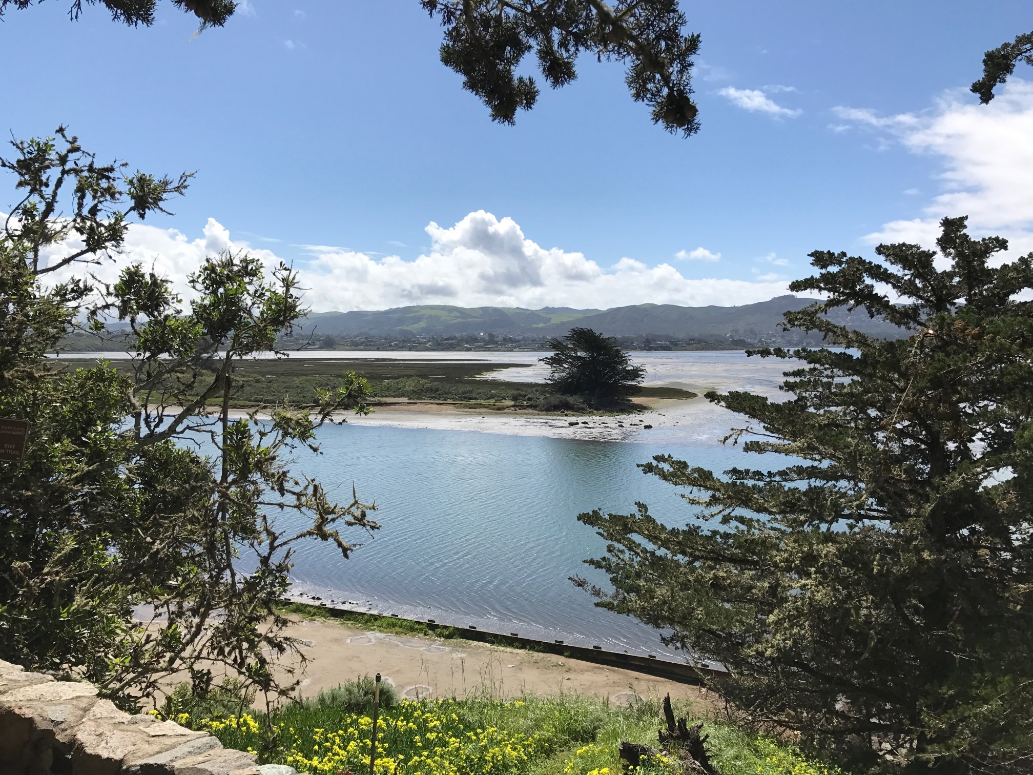  View of Los Osos from the Morro Bay Natural Museum. Photo by Robin Hendry