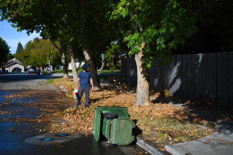 A person is blowing color autumn leaves towards a green waste bin