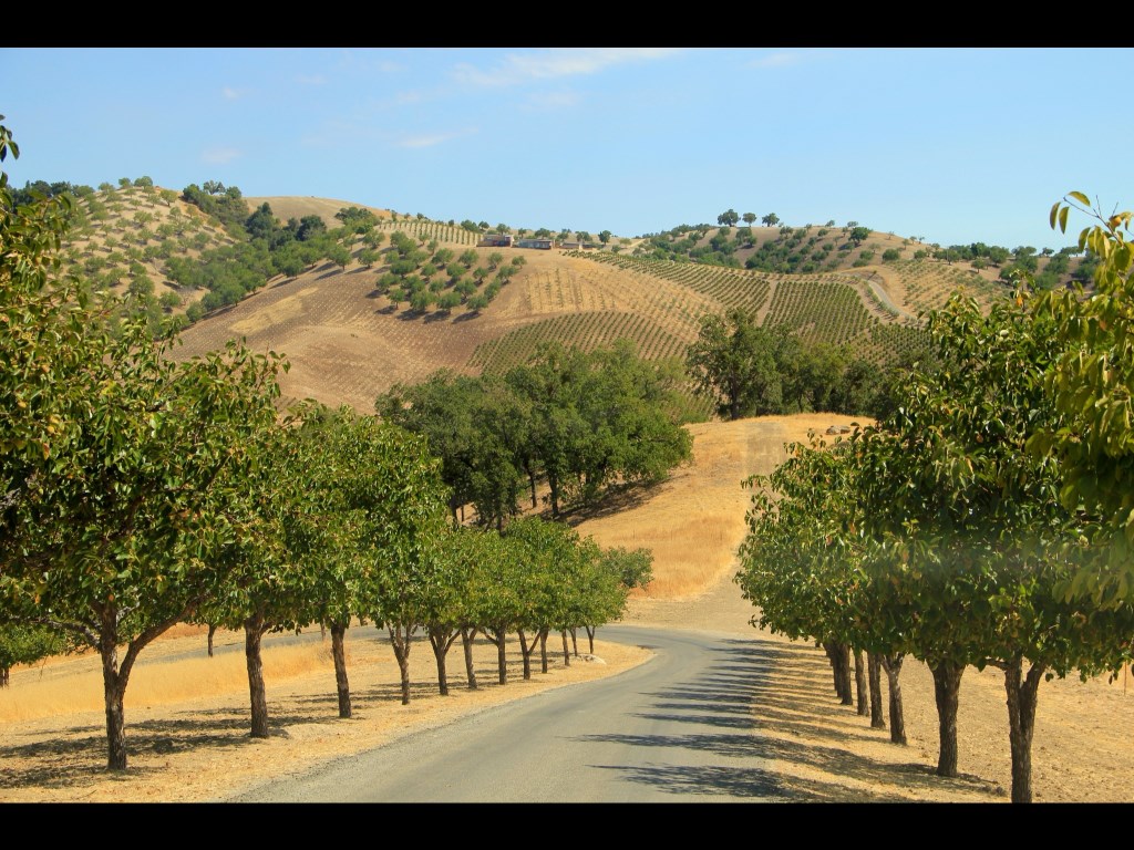 Adelaida Hills - Paso Robles Highlighted as "City on the Rise" in State Tobacco Control Report